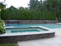 Cypress-trees-provide-privacy-to-a-pool-area.jpg