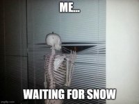 Waiting for Snow.jpg