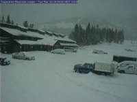 netcam.jpg