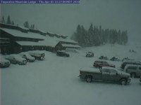 netcam1.jpg