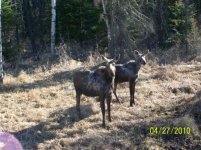 spring2010_062.jpg