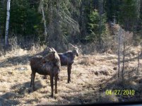 spring2010_063.jpg