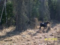 spring2010_064.jpg