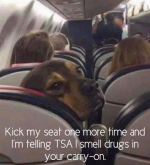 When Dogs Fly.png