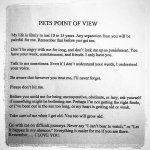 Pets Point of View.jpg