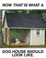 Dog House.jpg