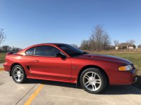 Mustang.jpg