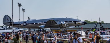 a8.jpg