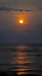 PXL_20250909_010609300.jpg