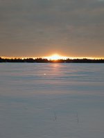 PXL_20220129_224522438.jpg