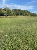 IMG_3032.jpeg