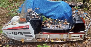 IMG_0174.jpeg