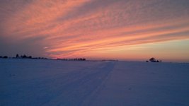 IMG_20140201_172007_027.jpg
