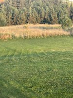 IMG_3182.jpeg