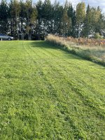 IMG_3175.jpeg
