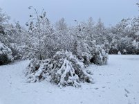 IMG_1750_1.jpg