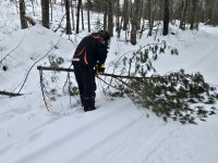 IMG_20251207_160522.jpg IMG_20251207_160522.jpg