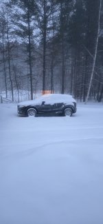 1000001948.jpg 1000001948.jpg