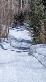 PXL_20260301_170509336.jpg PXL_20260301_170509336.jpg