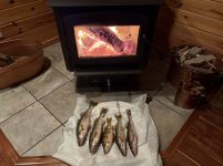 IMG_4555_1.jpg IMG_4555_1.jpg