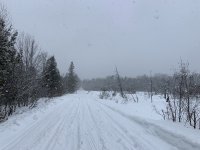 IMG_4908.jpeg IMG_4908.jpeg