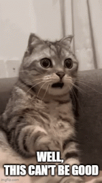Gif 3.gif