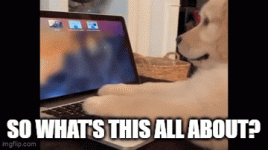 gif 4.gif