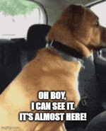 Gif 7.gif