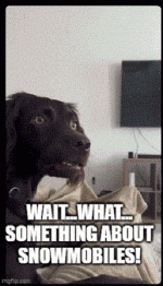 Gif 12.gif