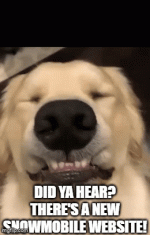 gif 10.gif