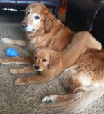 IMG_0548.jpeg