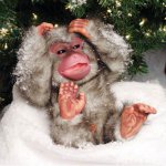 puki-monkey-2.jpg