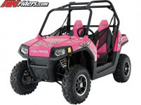 polaris-2009-ranger-rzr-800-utv-le-passion-pink (Small).jpg