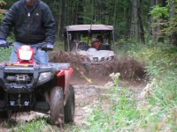 Trail brushing 2010 003 (Large).jpg