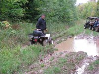 Trail brushing 2010 008 (Large).jpg