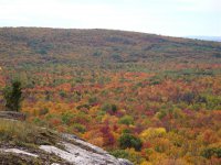 Fall Clolors 016 (Small).jpg