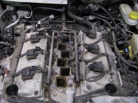 intake manifold 009 (Medium).jpg