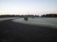 front of property frost 10-3-10.JPG