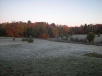 Back of property frost & colors.JPG