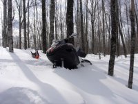 Hawk 2-22-10 009.jpg