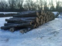 Wood pile.jpg