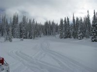 The snowies January 2011 027 (Medium).jpg