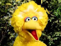 bigbird.jpg