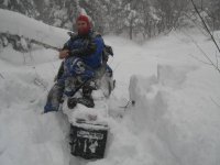 troy on sled #2s.JPG