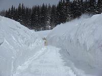 2011_snowy_range_snow_01.jpg