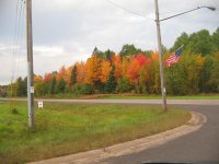 fall colors 001.jpg