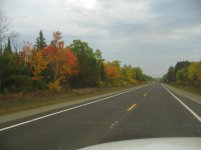 fall colors 002.jpg