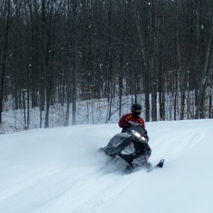 steve carving