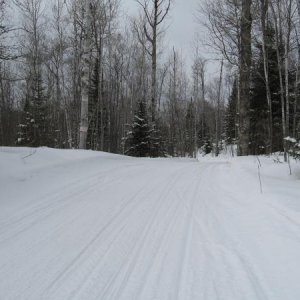 Moose Walk Trail