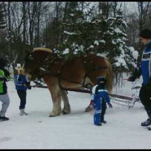 Jace next to horse